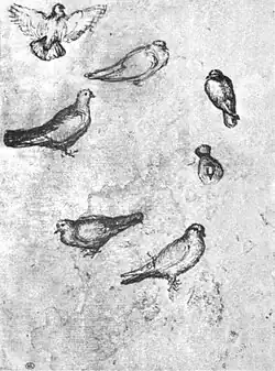 Duiven, inv. 2508r, ca. 1424, pen en inkt op papier, 25&nbsp;×&nbsp;18