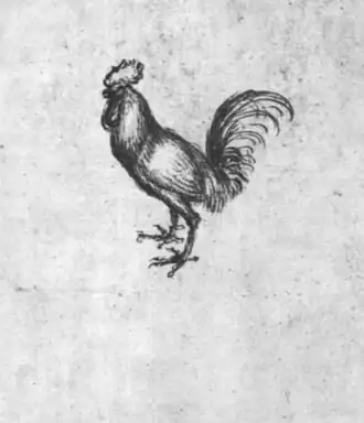 Haan, inv. 2511v, pen en inkt op rood papier, 24,8&nbsp;×&nbsp;18,2