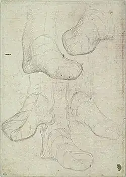 Vijf voeten, inv. 2281r, ca. 1433-1438, potlood op roze papier, 19,8&nbsp;×&nbsp;16,8