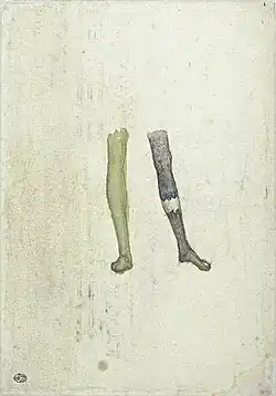 Twee benen, inv. 2290v, ca. 1433-1438, pen en inkt op papier, 29,3&nbsp;×&nbsp;20,2
