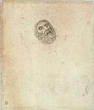 Kop van een man met baard, inv. 2315 v, ca. 1433-1438, pen en potlood op roze papier, 22&nbsp;×&nbsp;19,5