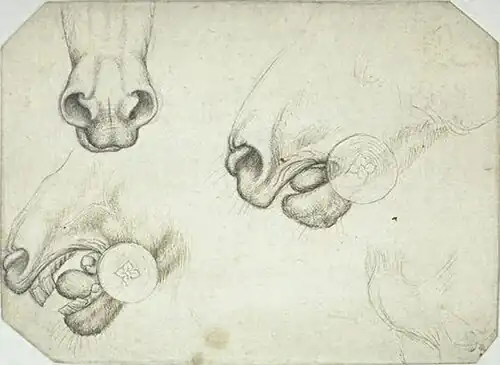 Drie studies van een paardenbit, inv. 2352, ca. 1433-1438, pen en potlood op papier, 17,2&nbsp;×&nbsp;23,8