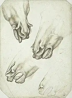 Vier paardensnuiten met opgesperde neusgaten, inv. 2353, pen en sporen van potlood op papier, 25,2&nbsp;×&nbsp;19,1