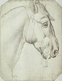 Hoofd van een paard, inv. 2357, pen en sporen van potlood op papier, 23,5&nbsp;×&nbsp;16