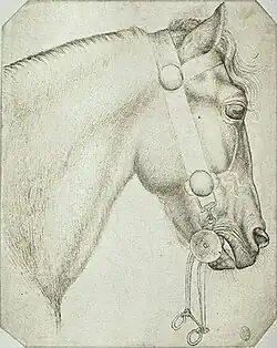Hoofd van een paard, inv. 2358, ca. 1433-1438, pen en potlood op papier, 22,5&nbsp;×&nbsp;17,9