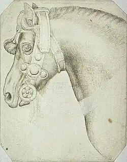 Hoofd van een paard, inv. 2361, pen en sporen van potlood op papier, 23,9&nbsp;×&nbsp;18,5