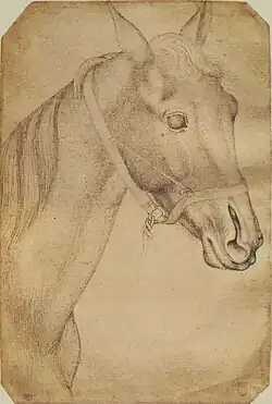 Hoofd van een paard, inv. 2363, pen en sporen van potlood op papier, 27,8&nbsp;×&nbsp;18,7