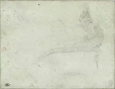 Gespietste hagedis, inv. 2382