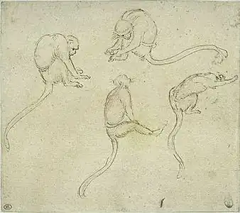 Vier apen, inv. 2388r, pen en potlood op lichtroze papier, 15,4&nbsp;×&nbsp;17,3