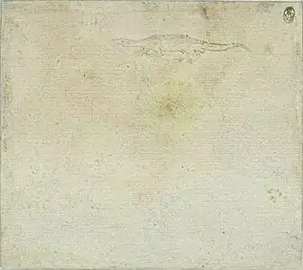 Hagedis, inv. 2388v, pen en potlood op lichtroze papier, 15,4&nbsp;×&nbsp;17,3