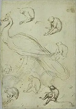 Pauwen en apen, inv. 2389v, pen en inkt op lichtroze papier, 25,9&nbsp;×&nbsp;18
