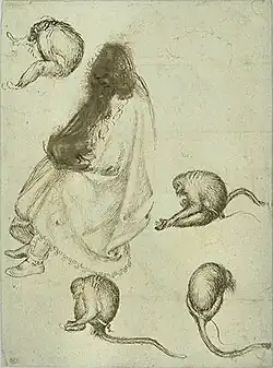 Zittende figuur, apen, inv. 2390r, pen en inkt op lichtroze papier, 25,4&nbsp;×&nbsp;19