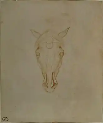 Hoofd van een paard met opgesperde neusgaten, inv. 2405, ca. 1433-1438, pen en potlood op papier, 11,2&nbsp;×&nbsp;10