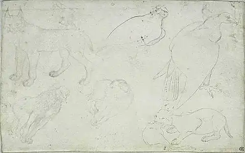 Arenden, honden, lynxen, inv. 2413, pen en zilverstift op perkament, 15,8&nbsp;×&nbsp;25,5