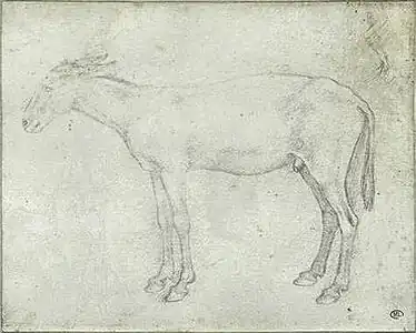 Ezel, inv. 2458, ca. 1420-1430, zilverstift op perkament, 15,2&nbsp;×&nbsp;18,8