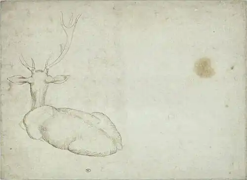 Liggend hert op de rug gezien, inv. 2489, ca. 1433-1436, pen en inkt op papier, 27,8&nbsp;×&nbsp;20,2