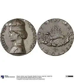 Belloto Cumano, 1447