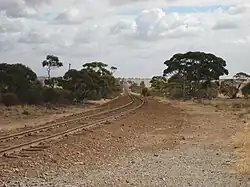 spoorweg Wongan Hills - Mullewa