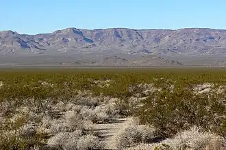 Westelijke flank van de Piute Range gezien vanuit Piute Valley