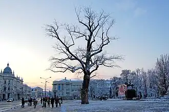 Winter in Lublin