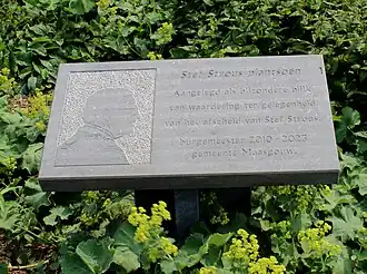 Plaquette Stef Strous plantsoen Maasbracht