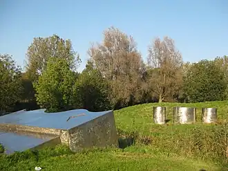 Plastiek in landschap (2011)