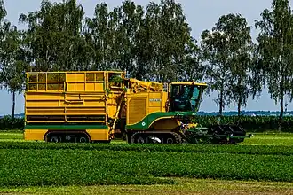 Spinazieoogstmachine