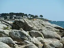 De associatie van gewoon kusttakmos op een landtong