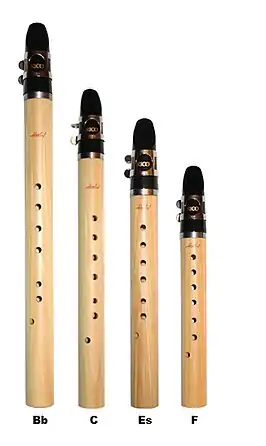 Moderne pocketino chalumeaux in verschillende stemmingen