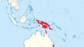 Gemarmerde uilnachtzwaluw