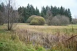 Natuurreservaat Podlesí (2017)