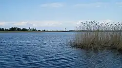 Gezicht op Koelje vanuit Podmotsa in Estland