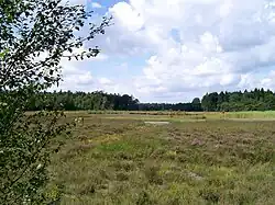 Poepedobbe, pingoruïne in de Bakkeveense duinen
