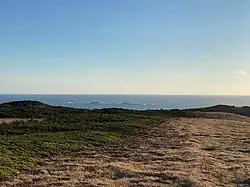 Typische schrale begroeiing aan de rand van Point Lance, met in de achtergrond de zeerotsen genaamd Cow and Calf Bull