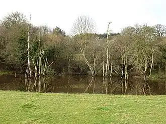 Vijver in Hutton Conyers