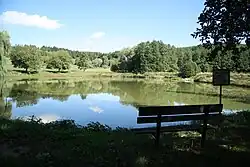 Meertje bij het dorp (2015)