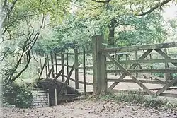 Pooh Sticks Bridge, Ashdown Forest in Hartfield