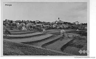 Ansichtkaart met afbeelding van Hinje (tussen 1928 en 1947)