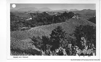 Ansichtkaart uit Majski Vrh (tussen 1928 en 1947)
