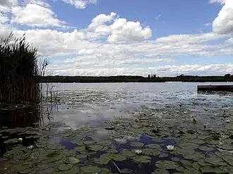 Omgeving van Pötréte