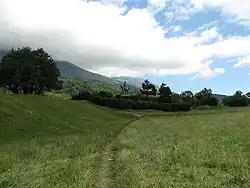 Veld van de ontmoeting