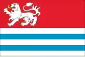 Vlag