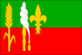 Vlag