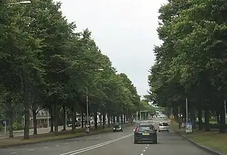 President Kennedylaan tussen Rijksweg 2 en De Mirandalaan (2009)