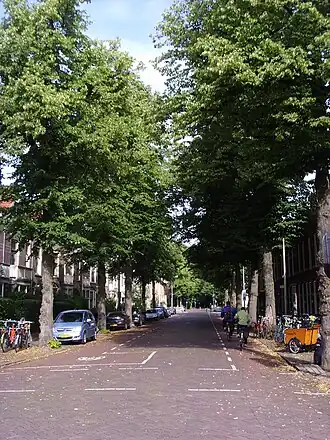 Prins Hendriklaan ter hoogte van het Wilhelminapark