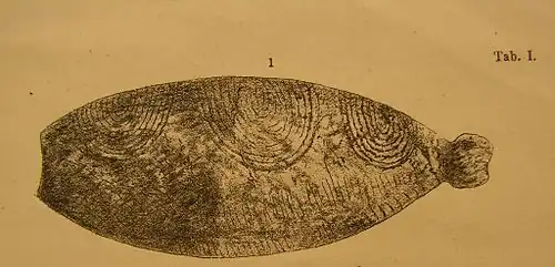 mammoetivoren hanger met decoratie