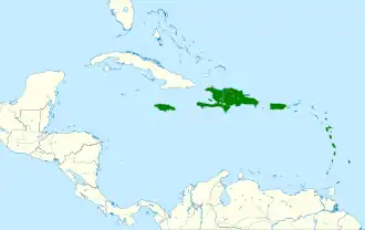 Caribische purperzwaluw