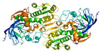 Kristallografische structuur van ADH5