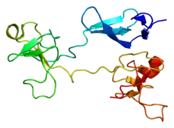Eiwitstructuur van fibronectine 1.
