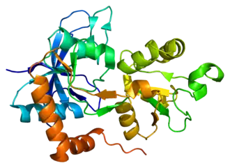 Lintdiagram van GRIN2A